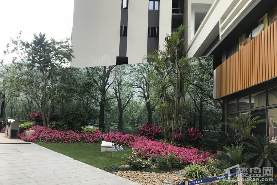 碧桂园·柏坦尼雅实景图