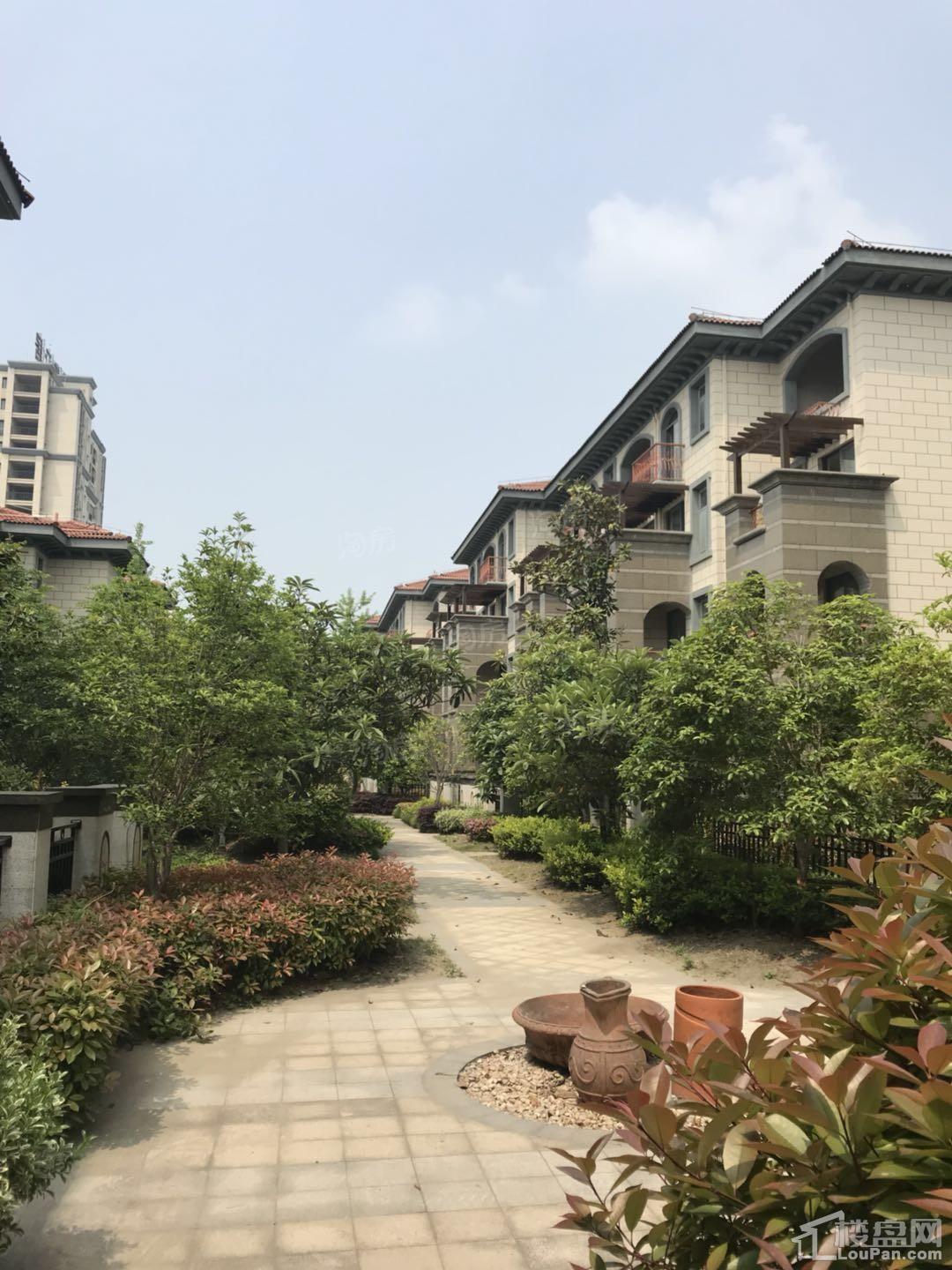 实景图