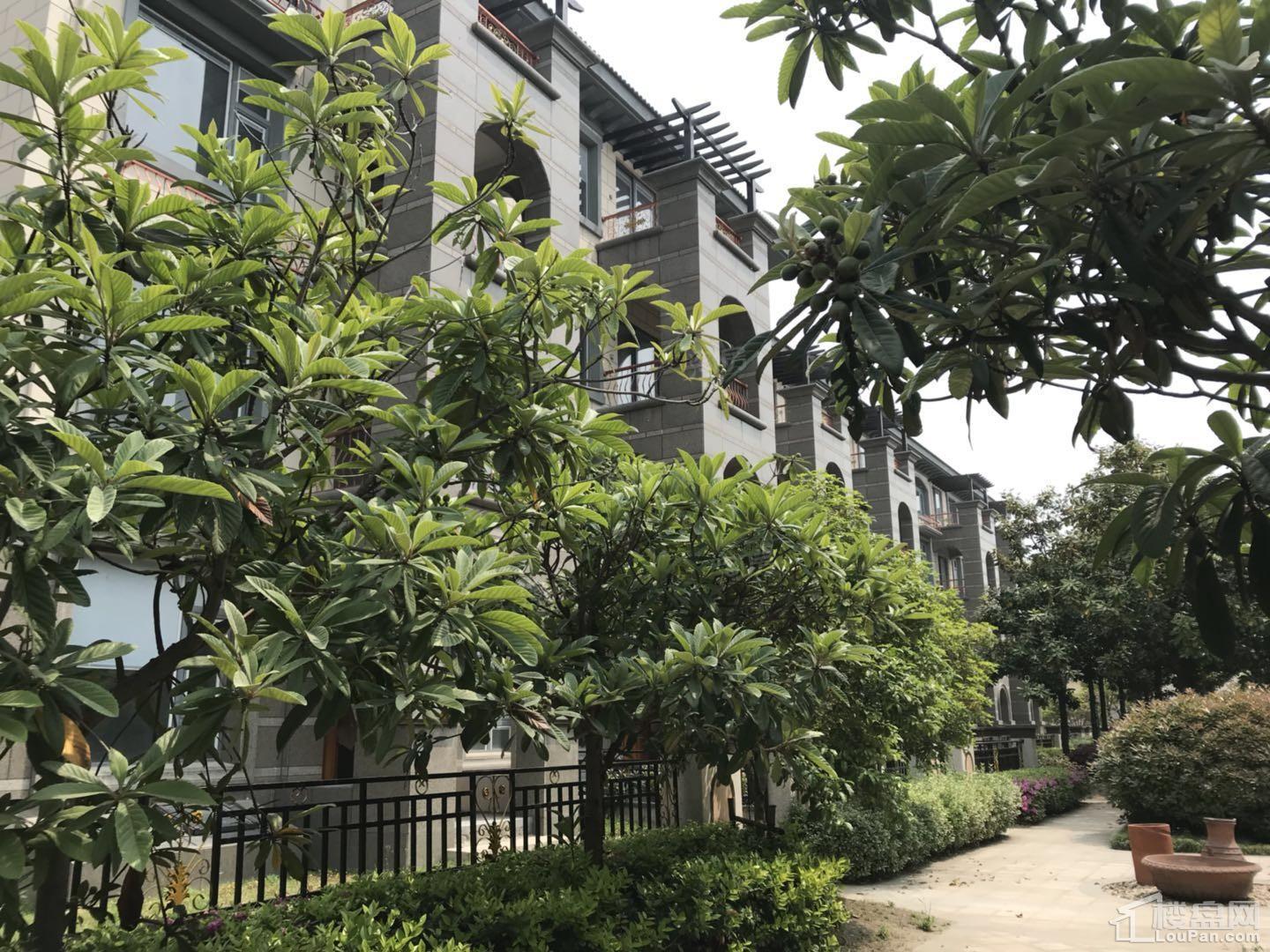 集元居实景图