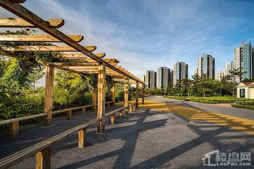 中央海岸效果图
