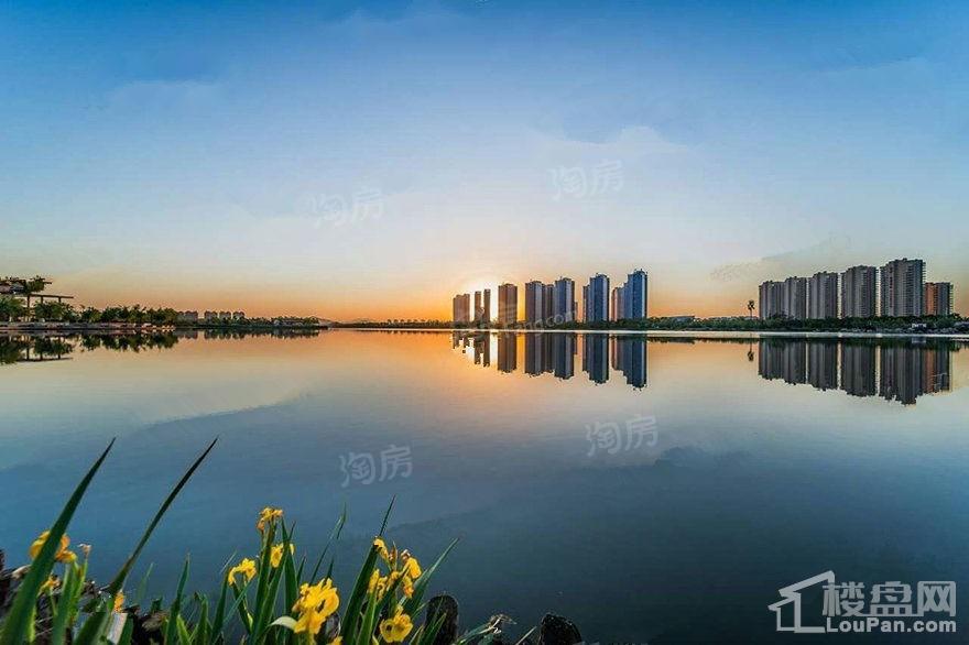 中央海岸效果图