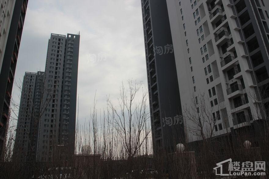中央海岸实景图