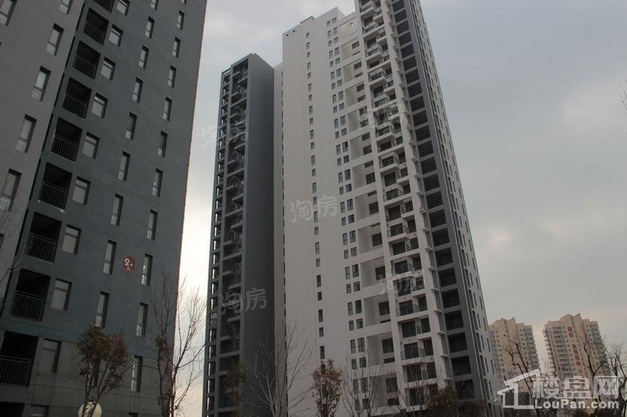 中央海岸实景图