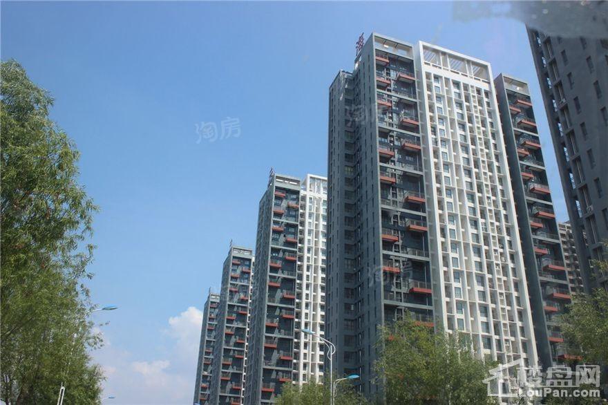 中央海岸实景图