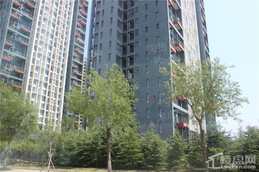 中央海岸实景图