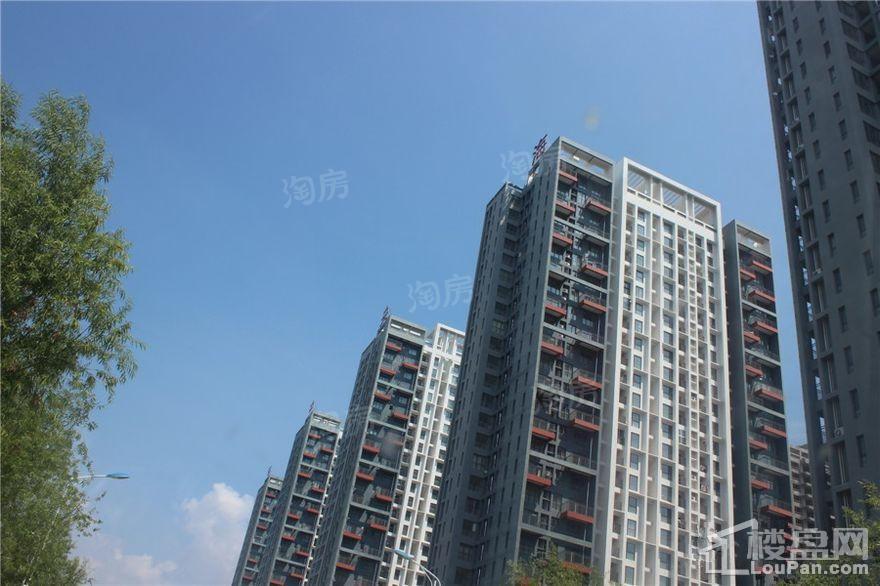 中央海岸实景图