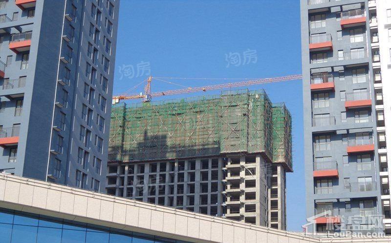 中央海岸实景图