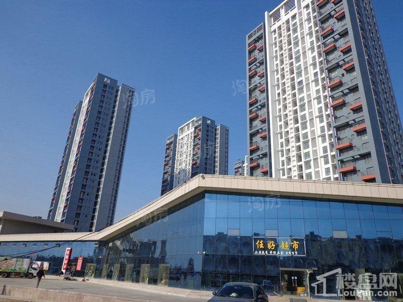 中央海岸实景图