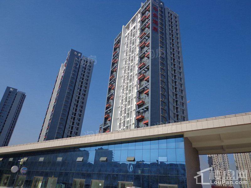 中央海岸实景图