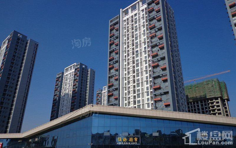 中央海岸实景图