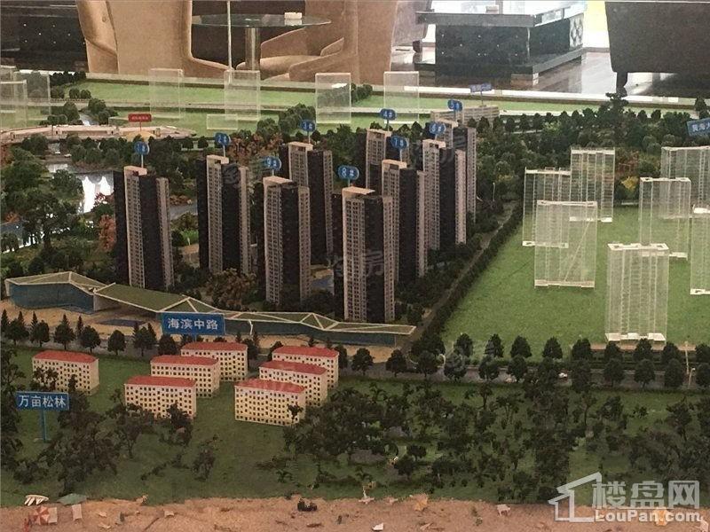 中央海岸实景图