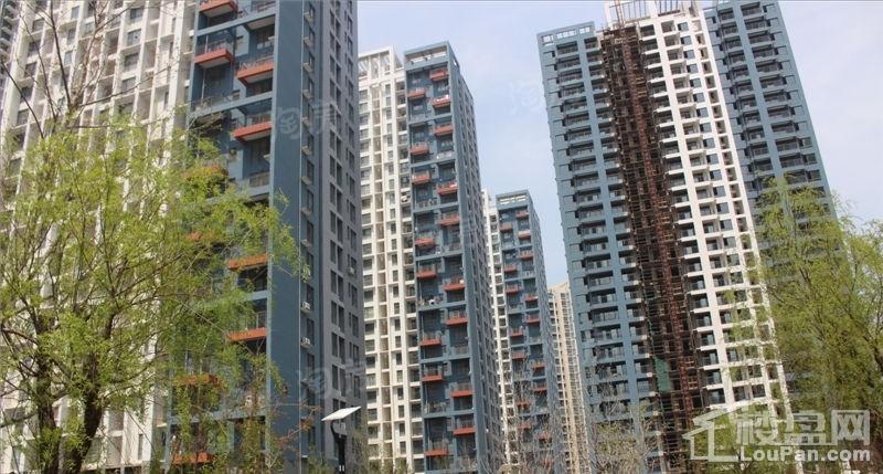 中央海岸实景图