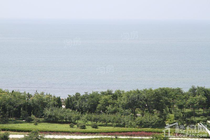 东方夏威夷实景图