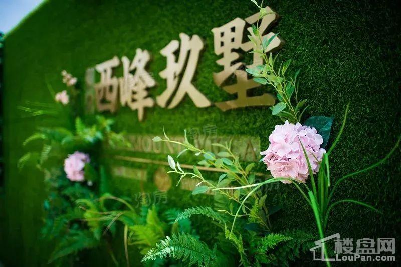 佳源西峰玖墅实景图