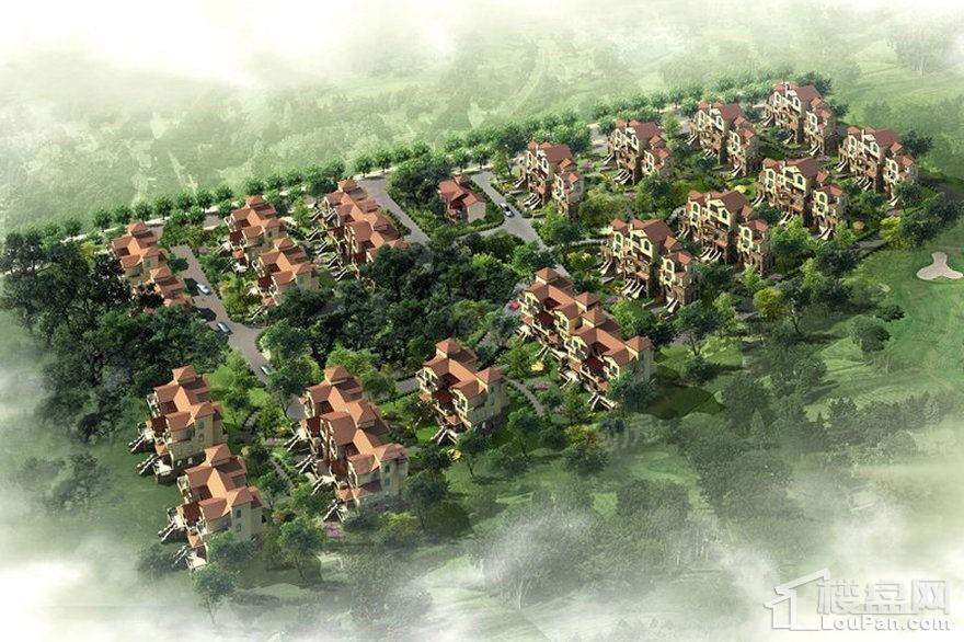效果图