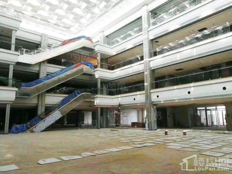 实景图