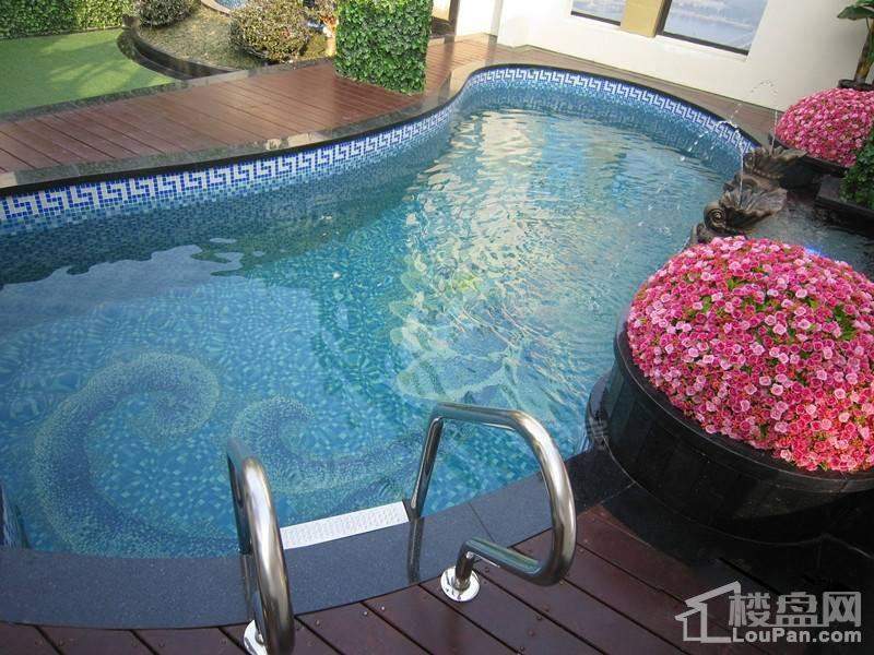 品尊国际实景图