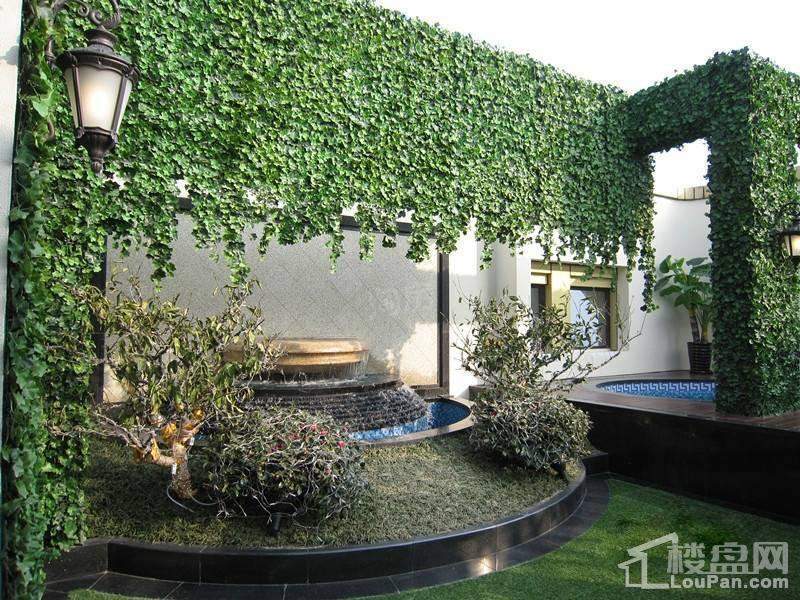 品尊国际实景图