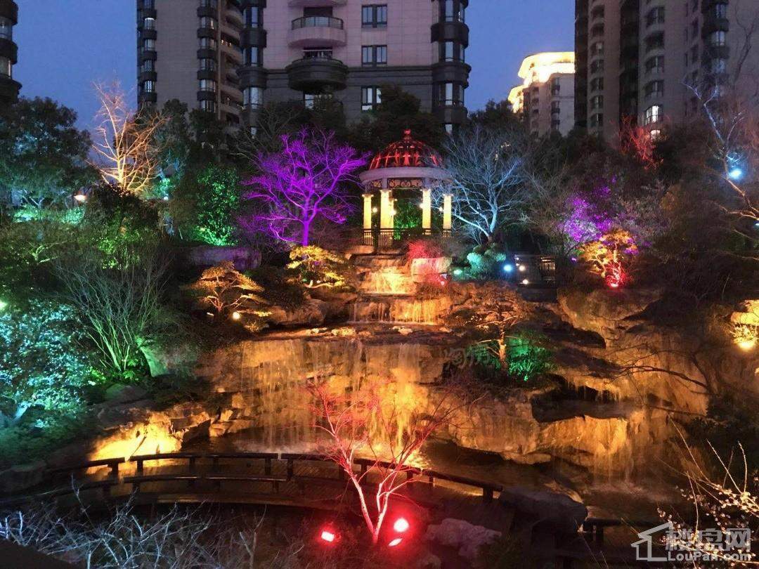 品尊国际实景图