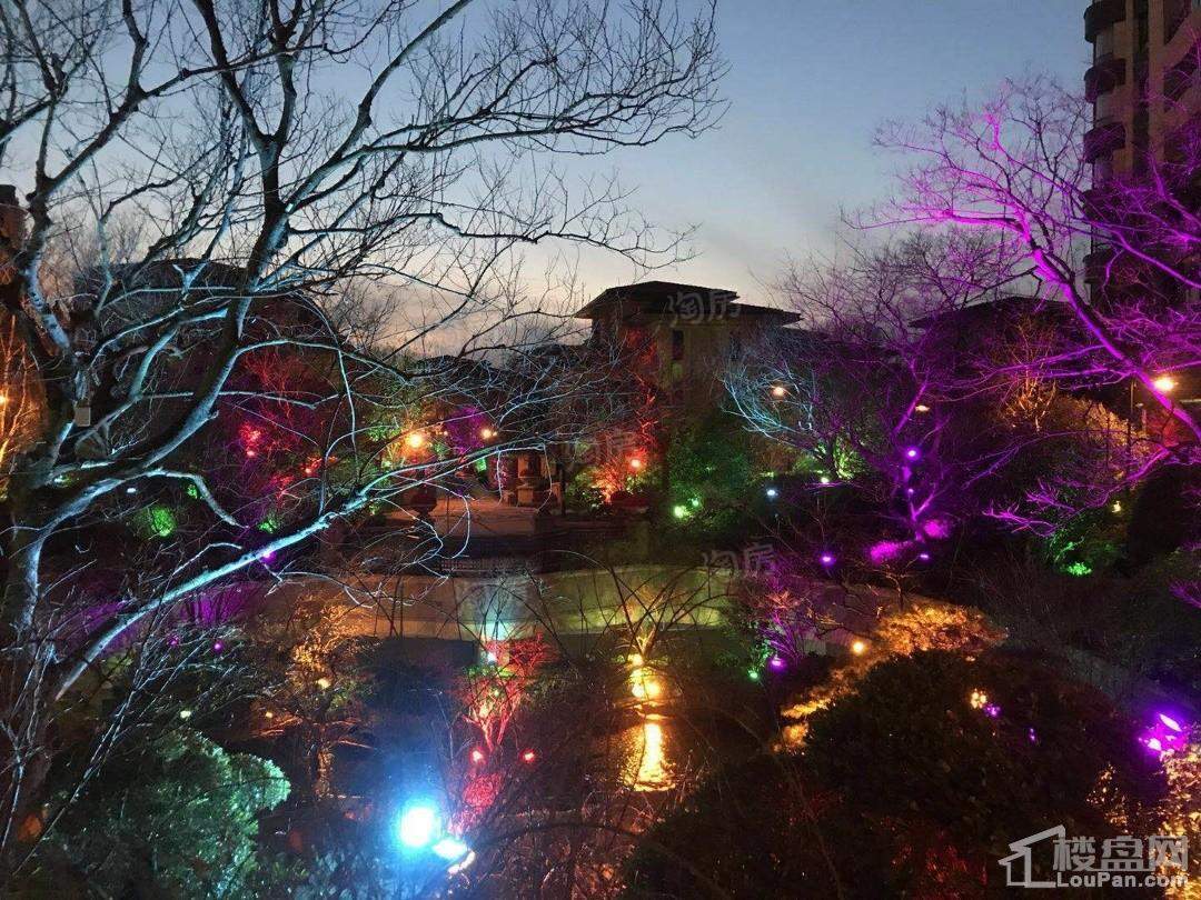 品尊国际实景图