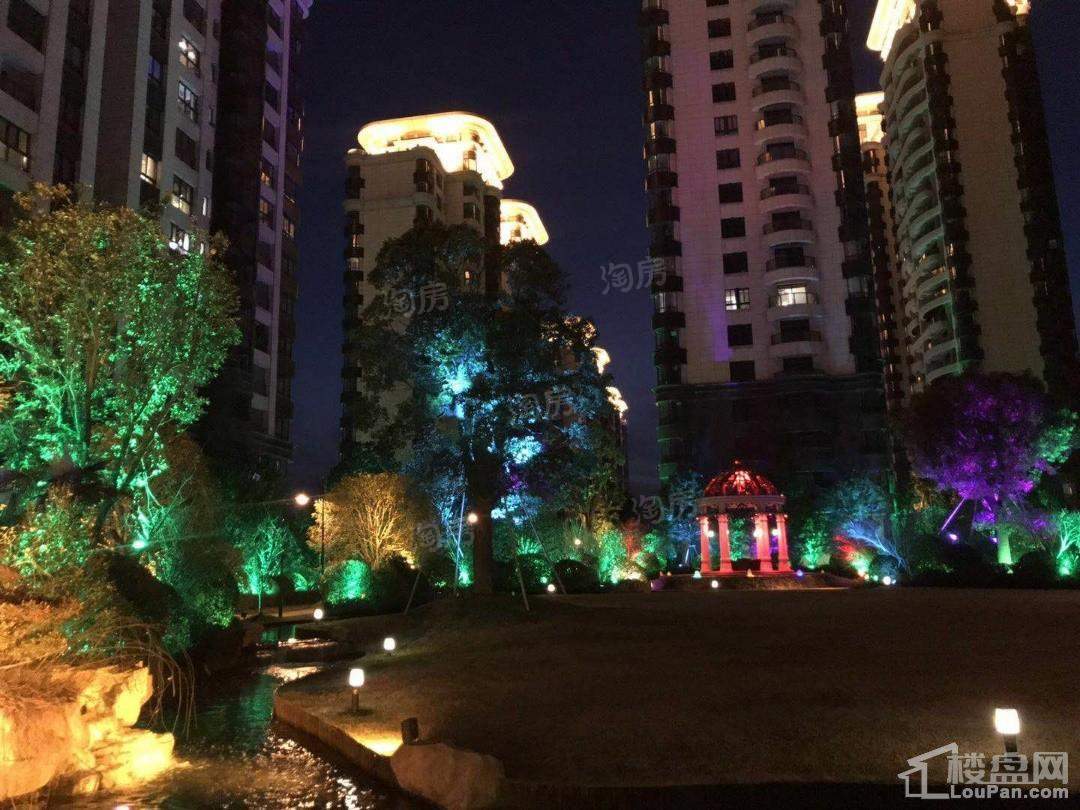 品尊国际实景图