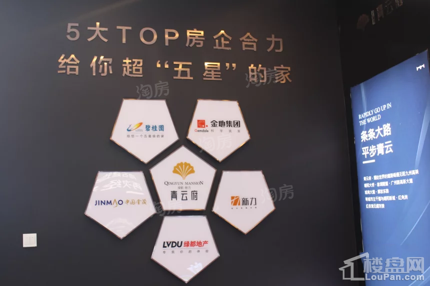 绿都新力青云府实景图