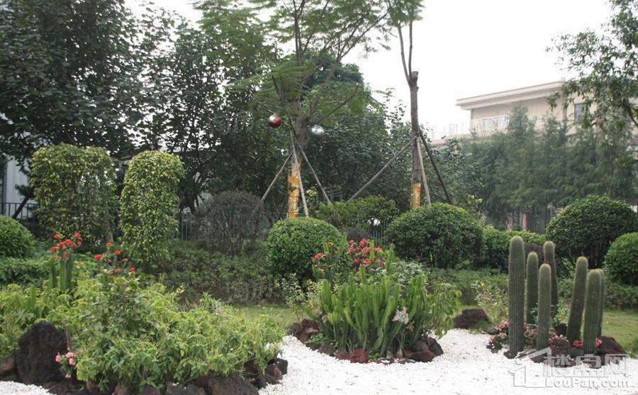 信业尚悦湾实景图