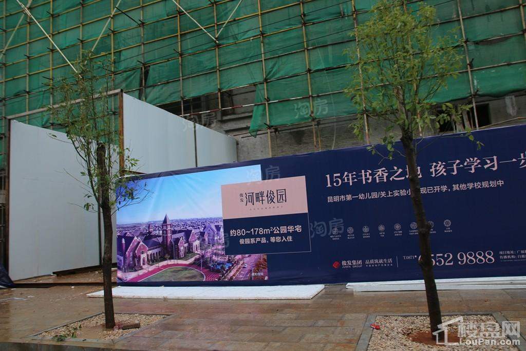 河畔俊园实景图