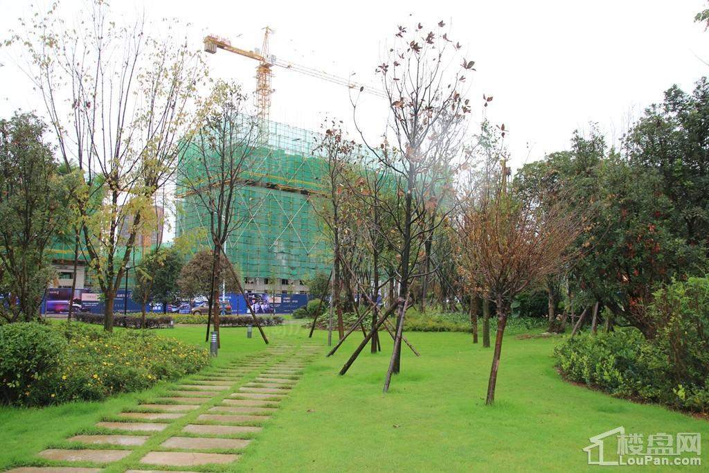 河畔俊园实景图