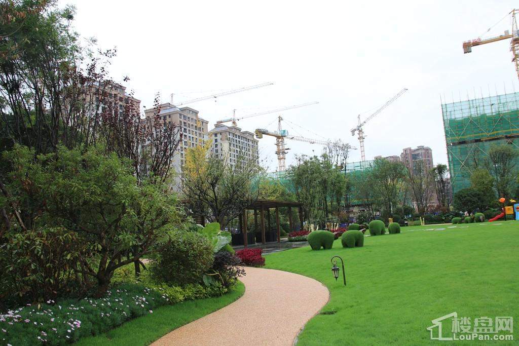 河畔俊园实景图