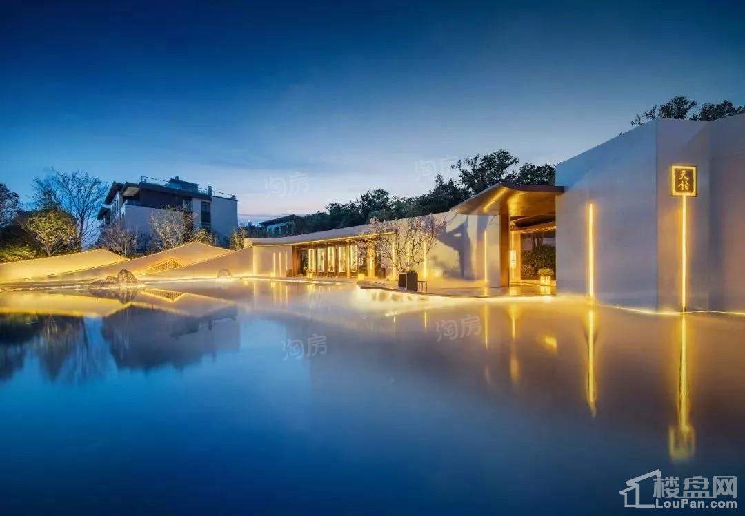 红星金义天铂效果图