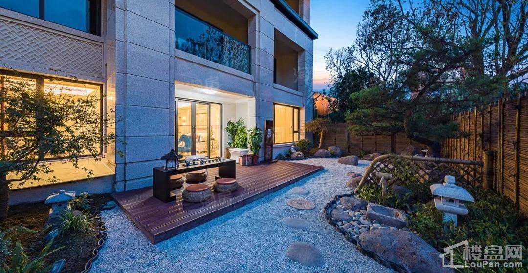 红星金义天铂效果图