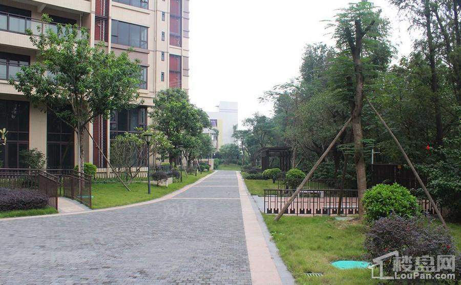 华鸿榄悦轩实景图