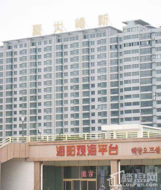 新峰大厦实景图