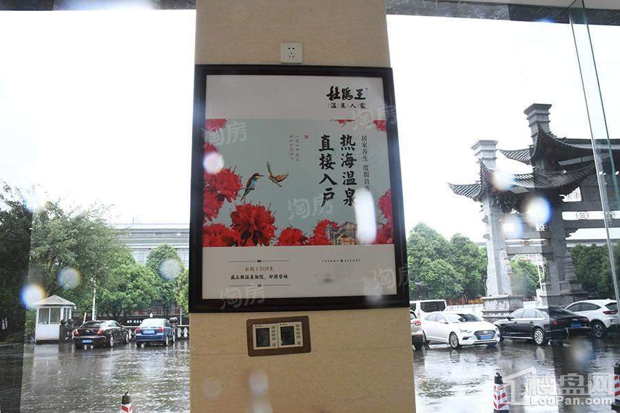 杜鹃王温泉人家实景图