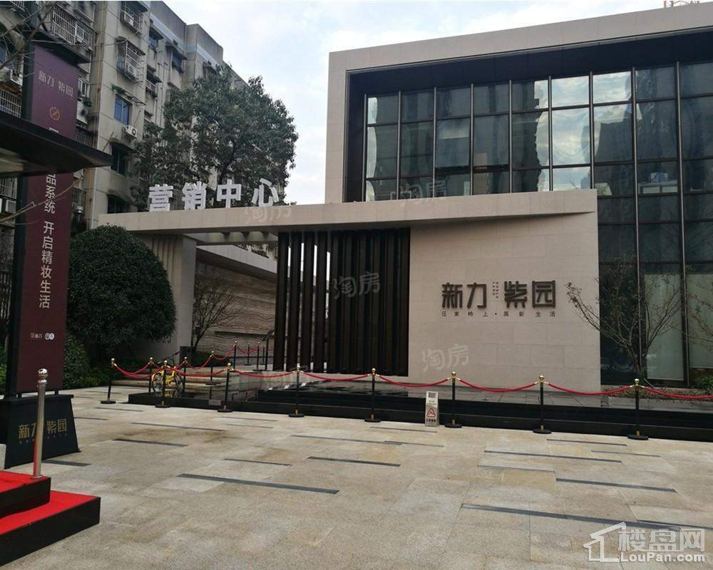新力紫园实景图