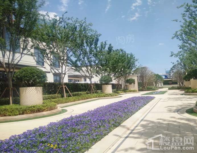 万科翡翠实景图