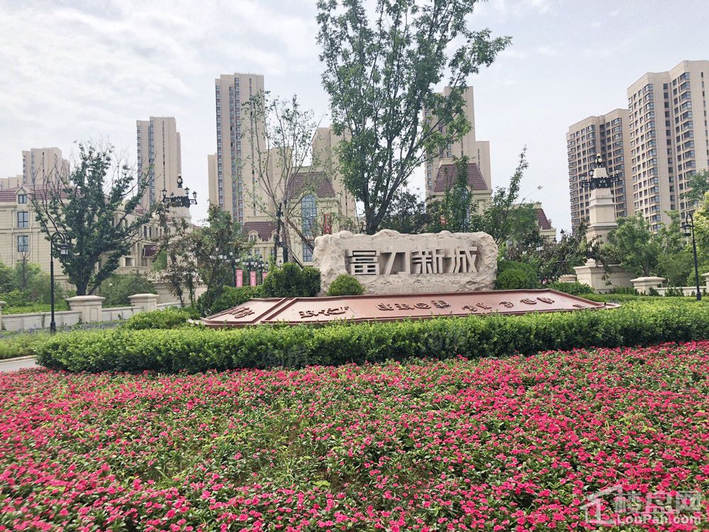 富力新城实景图