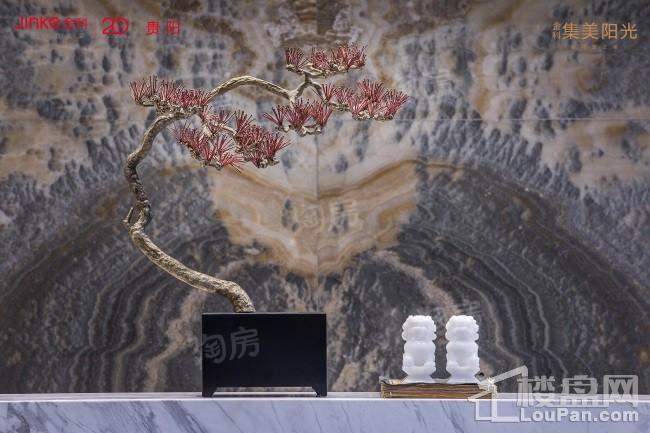 金科集美阳光实景图