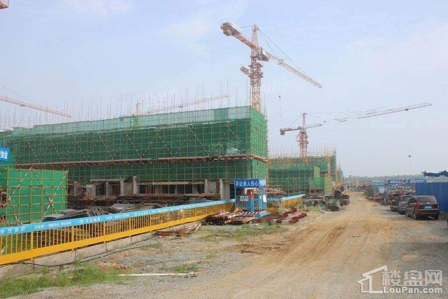 保利爱尚海实景图