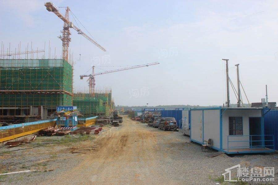 保利爱尚海实景图