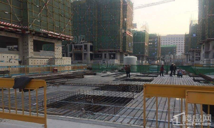 保利爱尚海实景图