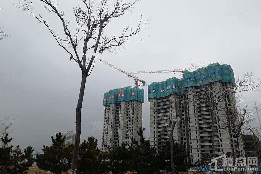 保利爱尚海实景图