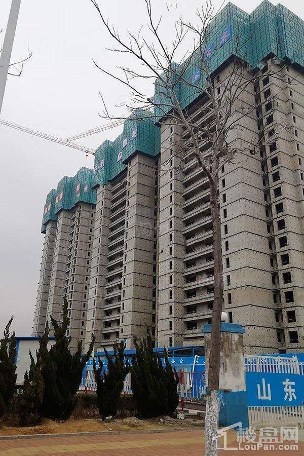 保利爱尚海实景图