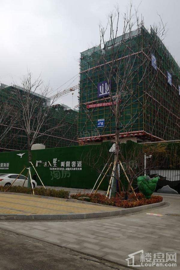 保利爱尚海实景图