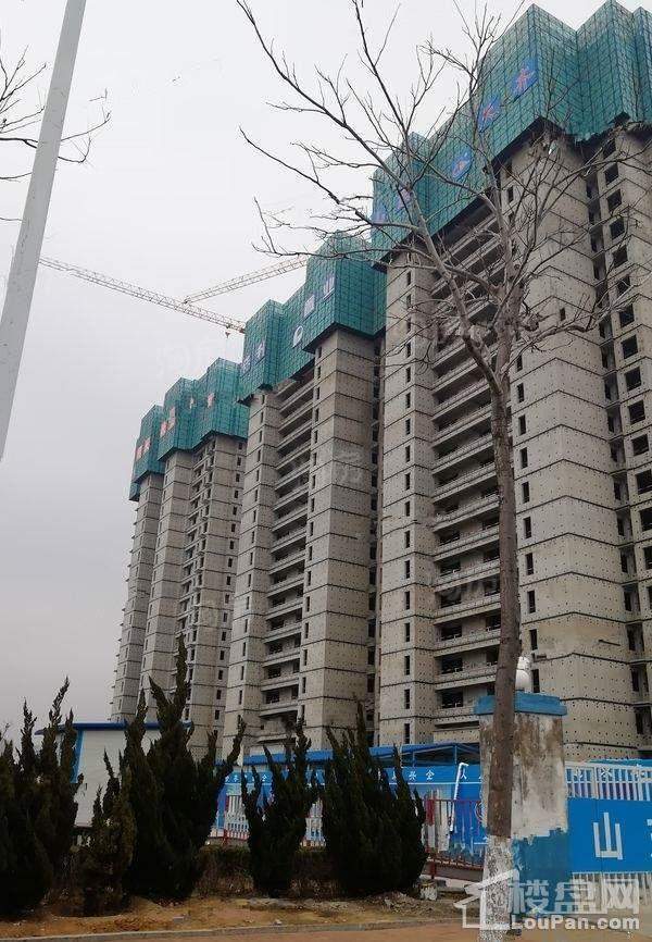 保利爱尚海实景图