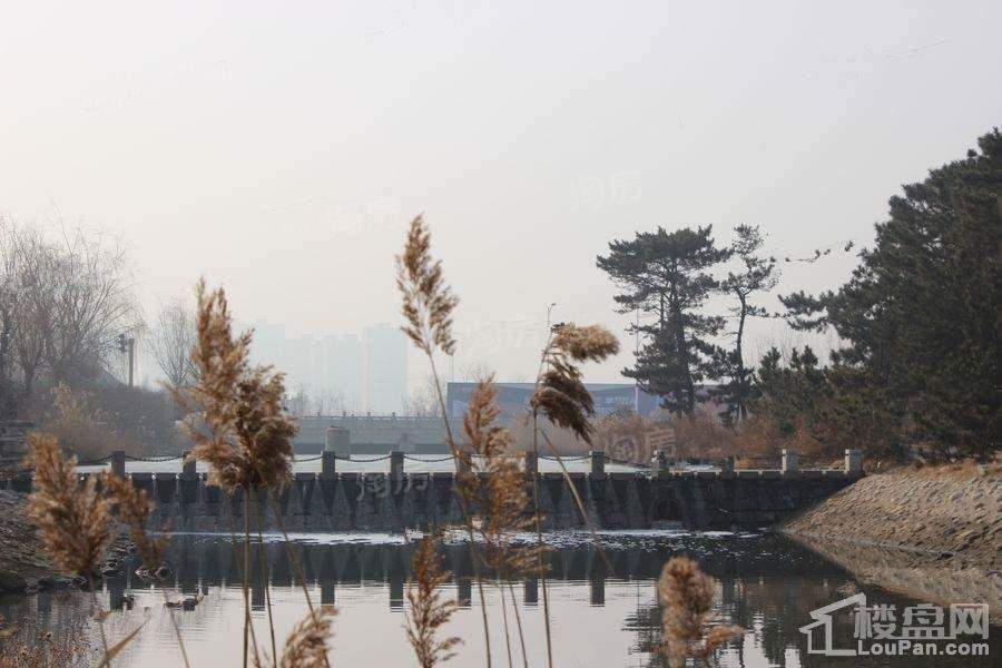 保利爱尚海实景图