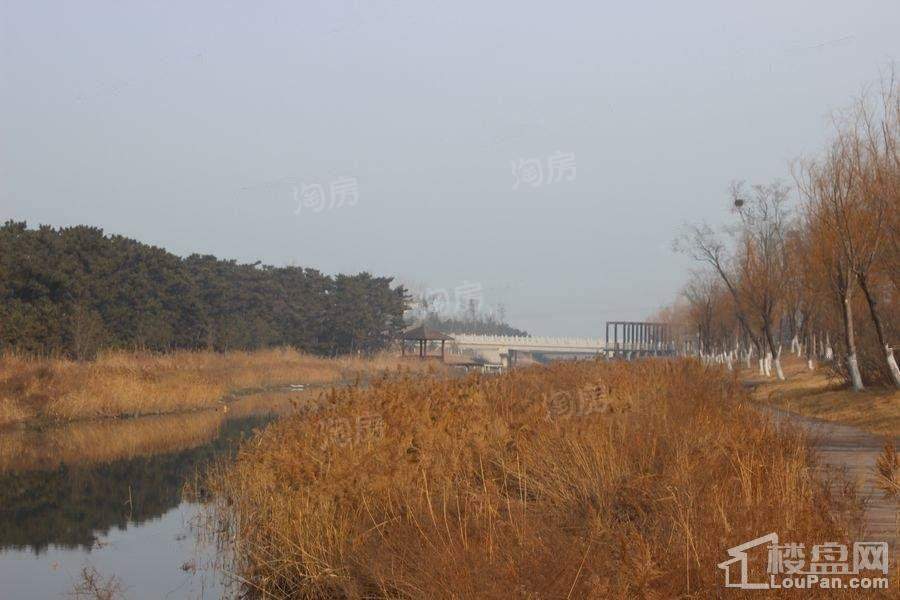 保利爱尚海实景图