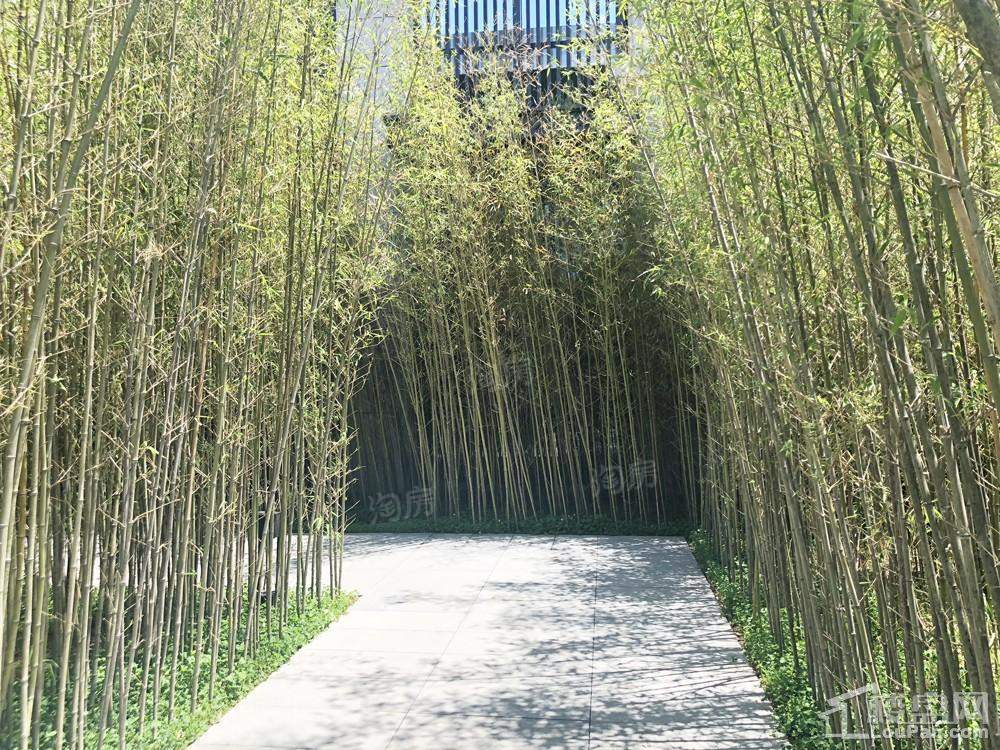 愉景城实景图