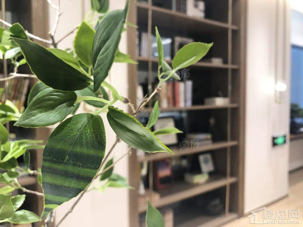 愉景城配套图